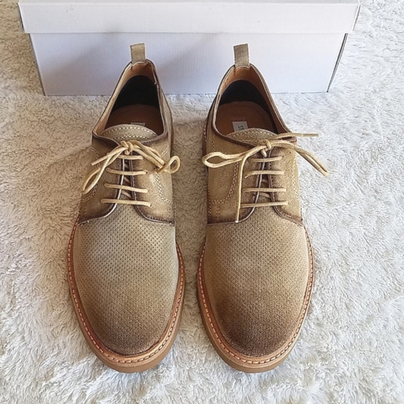 Steve Madden Voyagee Suede Oxford Shoe ⭐️⭐️ main image 5